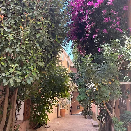 Studio Lumineux - Rue Du Corsaire *